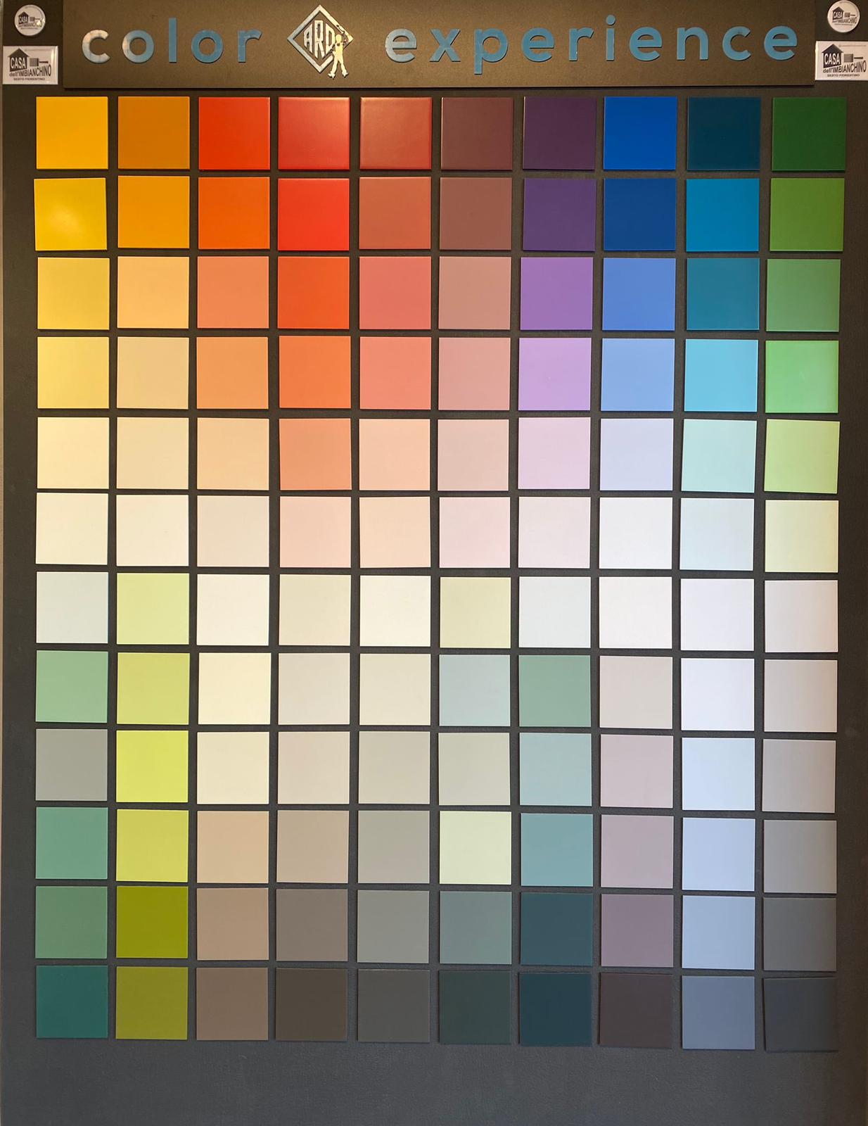 COLOR EXPERIENCE